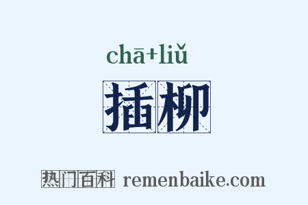 插柳是什么意思的图片